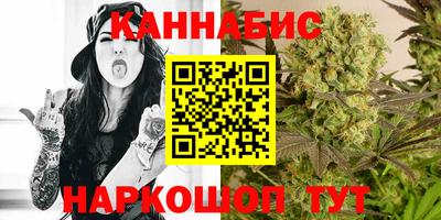 мет Кингисепп