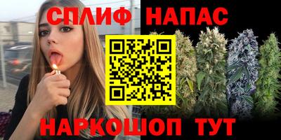 тгк Кинель