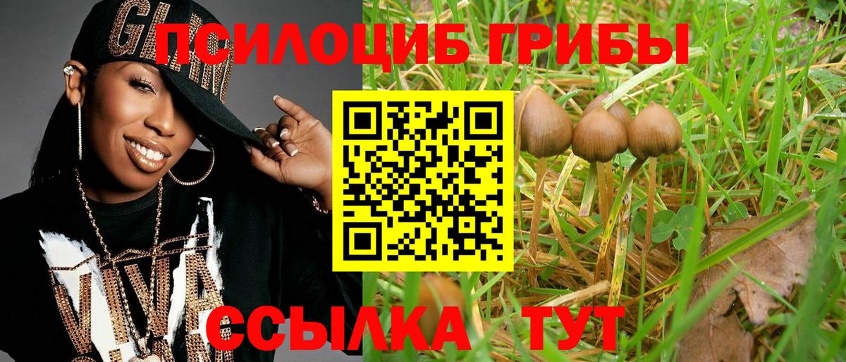 Галлюциногенные грибы ЛСД  Псилоцибиновые грибы MAGIC MUSHROOMS  Вход с VPN  Мыски 