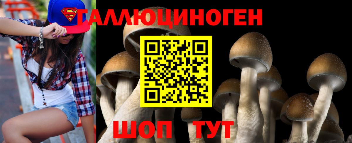 Галлюциногенные грибы Cubensis Мыски